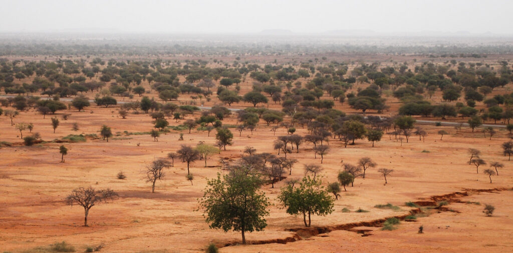 36538648262 546c68324a k e1710955898808